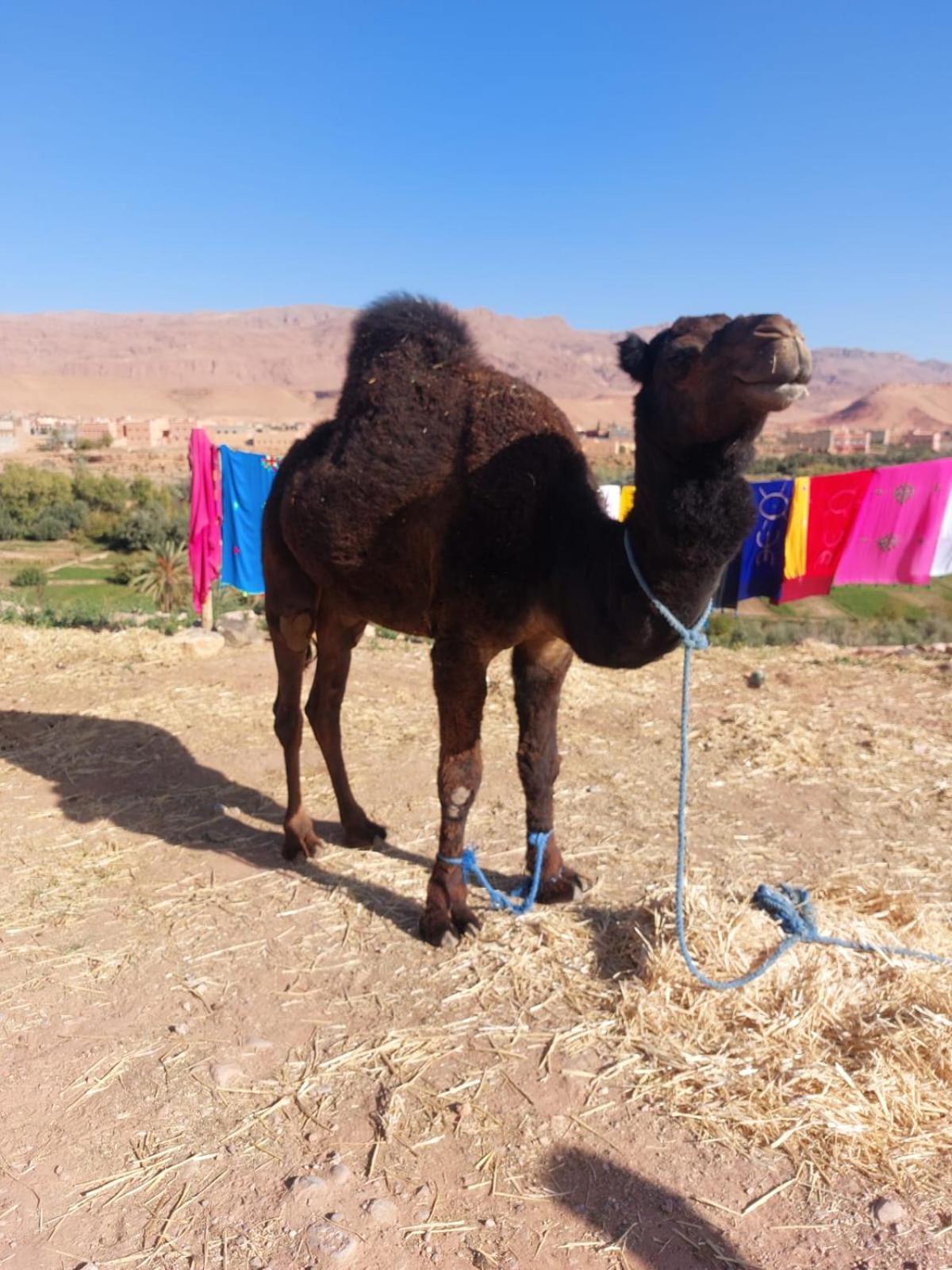 Riad Iriki Tinghir Exterior foto